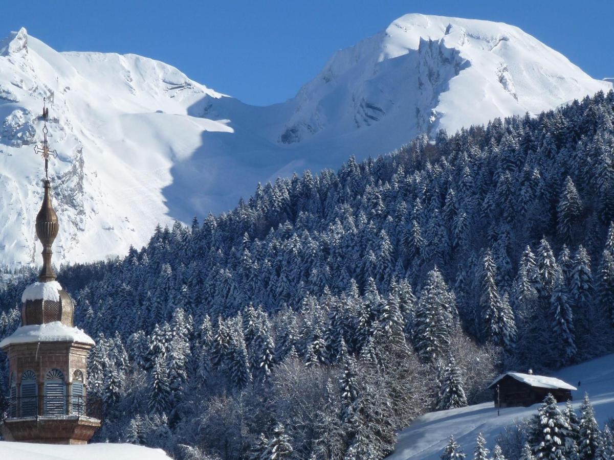 "Chalet Les Aravis" Chalet Et Appartements Ле-Гран-Борнан Екстер'єр фото